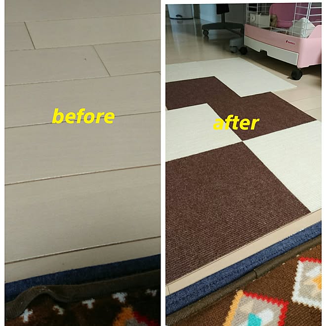 部屋全体 セリアの雑貨 しまむらのラグ ペットと暮らす家 マルチカバーをラグに などのインテリア実例 17 04 26 17 41 09 Roomclip ルームクリップ 部屋全体 セリアの雑貨 しまむらのラグ ペットと暮らす家 マルチカバーをラグに などのインテリア実例 17 04 26 17 41 09 Roomclip ルームクリップ