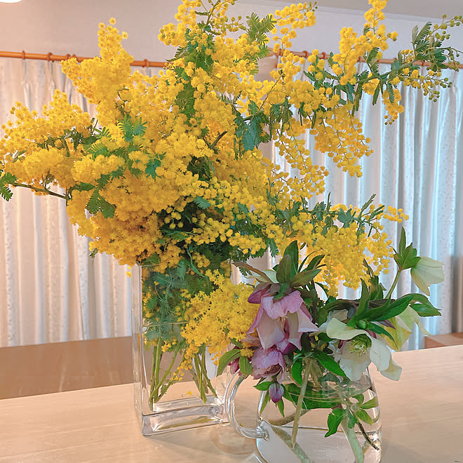 はなのある暮らし 春の花 花瓶 切花 ミモザ などのインテリア実例 22 03 15 23 10 54 Roomclip ルームクリップ はなのある暮らし 春の花 花瓶 切花 ミモザ などのインテリア実例 22 03 15 23 10 54 Roomclip ルームクリップ