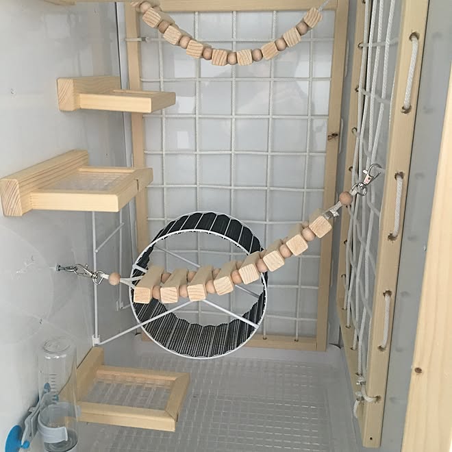 リノベーション イージーホーム フクロモモンガケージ ナチュラル Sanko などのインテリア実例 16 10 16 15 32 06 Roomclip ルームクリップ