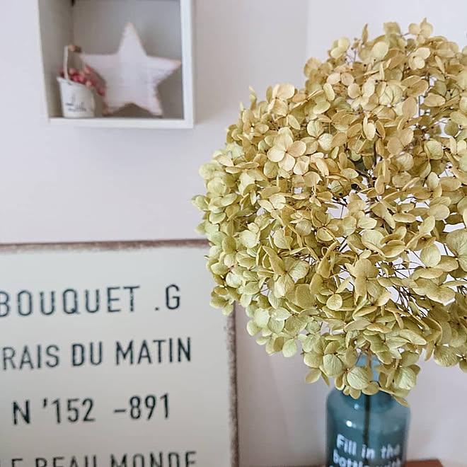 棚 アナベル アナベルドライ アナベルドライフラワー ドライフラワー などのインテリア実例 07 16 16 11 34 Roomclip ルームクリップ