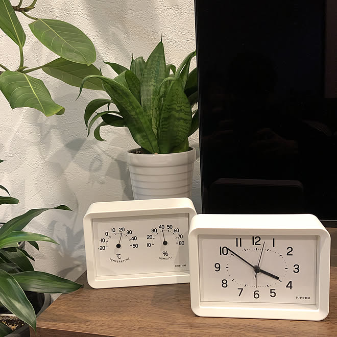 RHYTHM PLUS/リズム時計 RHYTHM/時計/観葉植物/部屋全体のインテリア実例 - 2019-11-30 15:56:30