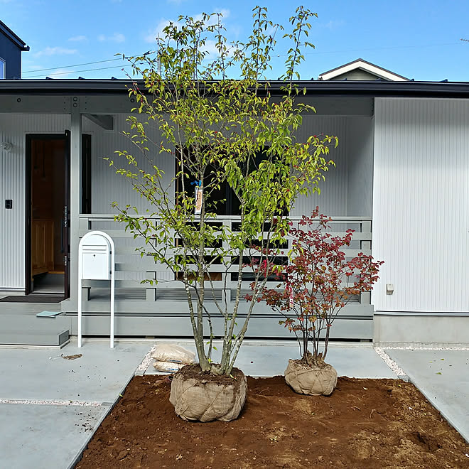 Covaco フリークホームズ コバコ 平屋 玄関 入り口のインテリア実例 18 06 04 22 59 51 Roomclip ルームクリップ