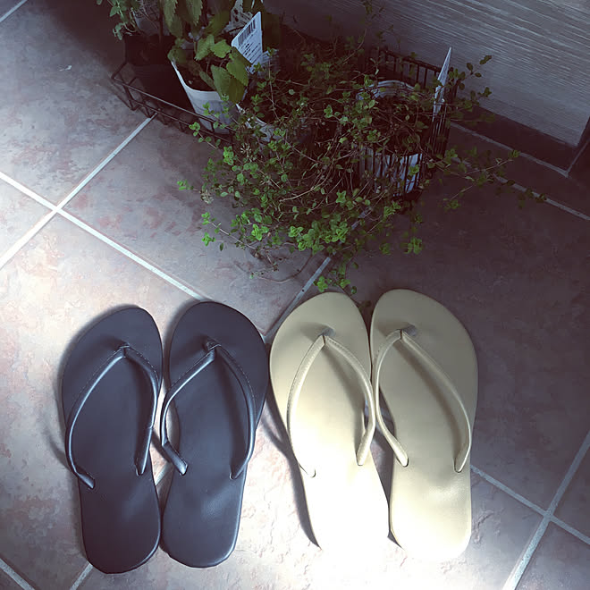 リネン 嘆く ホイスト スリー コインズ ビーチ サンダル Shinsyu Om Jp