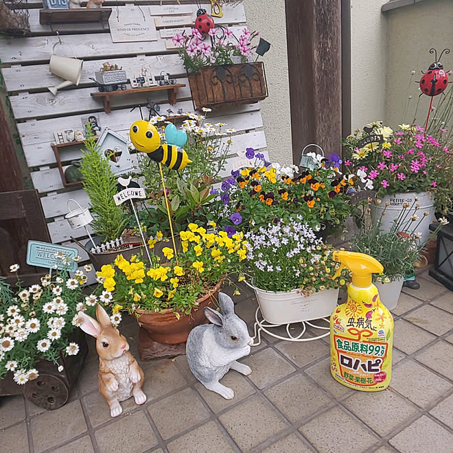 玄関 入り口 ガーデニング 植物のある暮らし 害虫対策 アースガーデン などのインテリア実例 21 05 09 08 06 51 Roomclip ルームクリップ