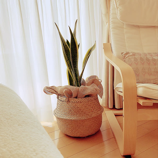 カゴ バスケット 観葉植物 Ikea リビングのインテリア実例 19 04 08 15 50 24 Roomclip ルームクリップ カゴ バスケット 観葉植物 Ikea リビングのインテリア実例 19 04 08 15 50 24 Roomclip ルームクリップ