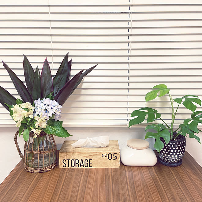 ヒメモンステラ Myflowerlife ブラインド ナチュラルキッチン フラワーベース などのインテリア実例 22 07 14 08 34 01 Roomclip ルームクリップ