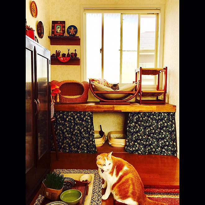 バス/トイレ/東欧のおばあちゃんの部屋/東欧雑貨/猫のいる風景/猫&hellip;などのインテリア実例 20161023 111342