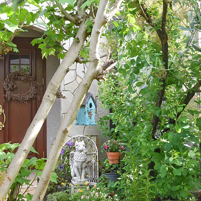 ガーデニング ナチュラルガーデン 小さな庭 暮らしを楽しむ 庭 などのインテリア実例 05 23 23 56 04 Roomclip ルームクリップ