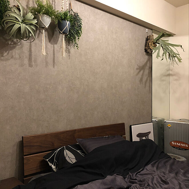 ベッド周り ハンギングプランター 観葉植物 観葉植物のある暮らし 寝室インテリア などのインテリア実例 18 09 15 12 42 43 Roomclip ルームクリップ