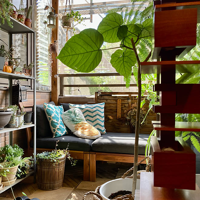 Ikea ニトリ ガーデンソファ ベランダガーデン ベランダ などのインテリア実例 22 06 14 07 50 39 Roomclip ルームクリップ