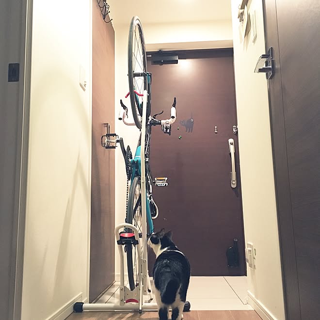 玄関/入り口/ドアストッパー/黒猫グッズ/自転車収納/月ちゃん&hellip;などのインテリア実例 20170120 003344