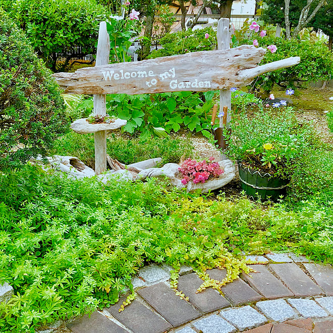 モシャモシャガーデン 流木で看板 流木 北海道 シンプルが好き などのインテリア実例 19 09 22 16 36 33 Roomclip ルームクリップ