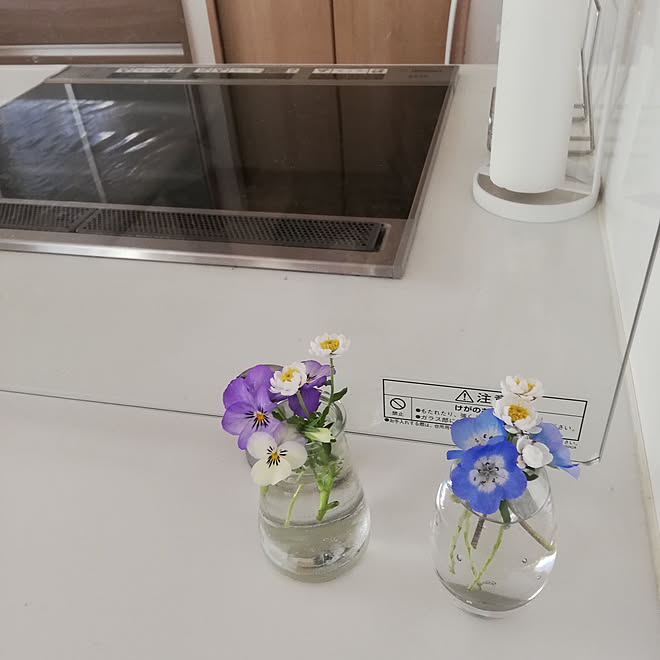 キッチン 花のある暮らし ビオラ 花かんざし ネモフィラ などのインテリア実例 19 03 12 15 40 34 Roomclip ルームクリップ