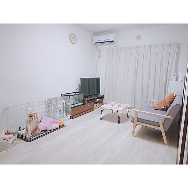 リビング 3dk 6畳 犬のいる生活 犬のいる暮らし などのインテリア実例 19 09 02 22 08 42 Roomclip ルームクリップ
