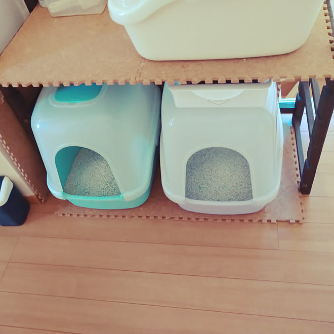 バス トイレ 猫の トイレ 猫トイレ 廊下 などのインテリア実例 2020 04 19 17 00 15 Roomclip ルームクリップ