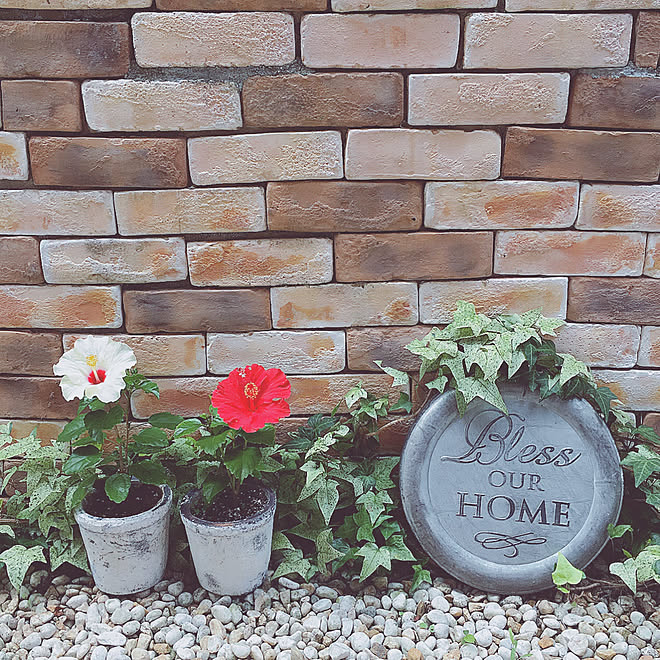 壁 天井 ガーデニング Garden ガーデン雑貨 外構 などのインテリア実例 17 08 14 09 07 Roomclip ルームクリップ