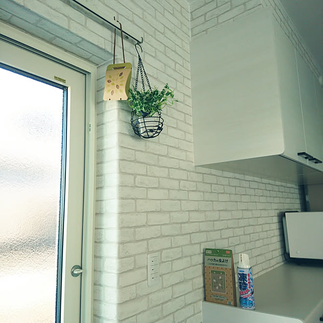 壁 天井 虫対策 北海道支部 虫が嫌い ４人家族 などのインテリア実例 06 01 08 07 06 Roomclip ルームクリップ