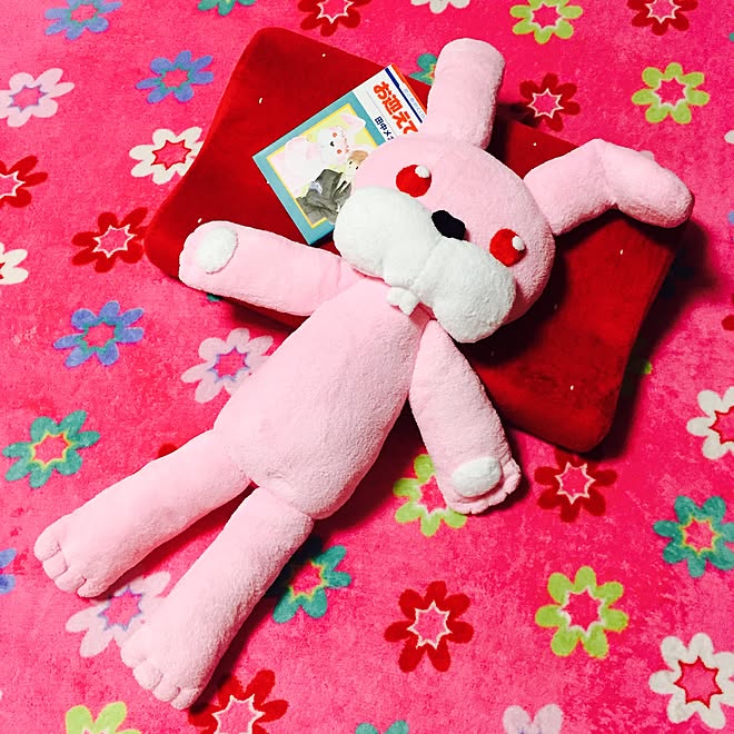 リビング ぬいぐるみ手作り 漫画本 ピンク好き 花柄カーペット などのインテリア実例 17 01 15 23 03 46 Roomclip ルームクリップ