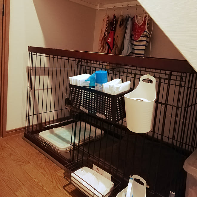 ペットと暮らす家 ペットスペースのインテリア実例 19 11 24 13 40 02 Roomclip ルームクリップ ペットと暮らす家 ペットスペースのインテリア実例 19 11 24 13 40 02 Roomclip ルームクリップ
