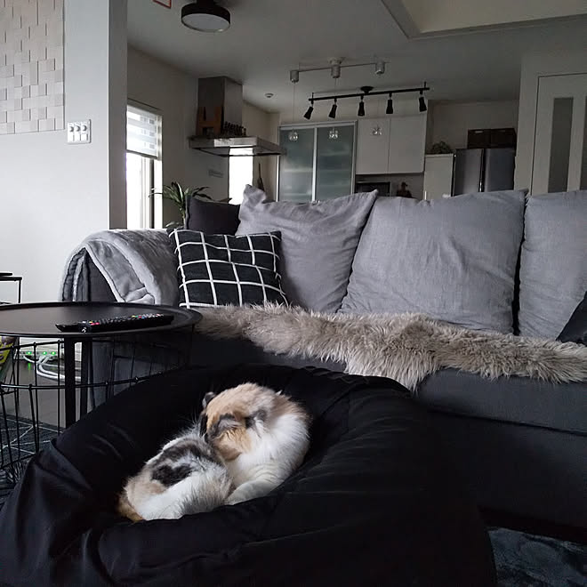 リビング Ikeaサイドテーブル ソファ ニトリ ひとをダメにするソファ などのインテリア実例 22 03 31 09 45 Roomclip ルームクリップ