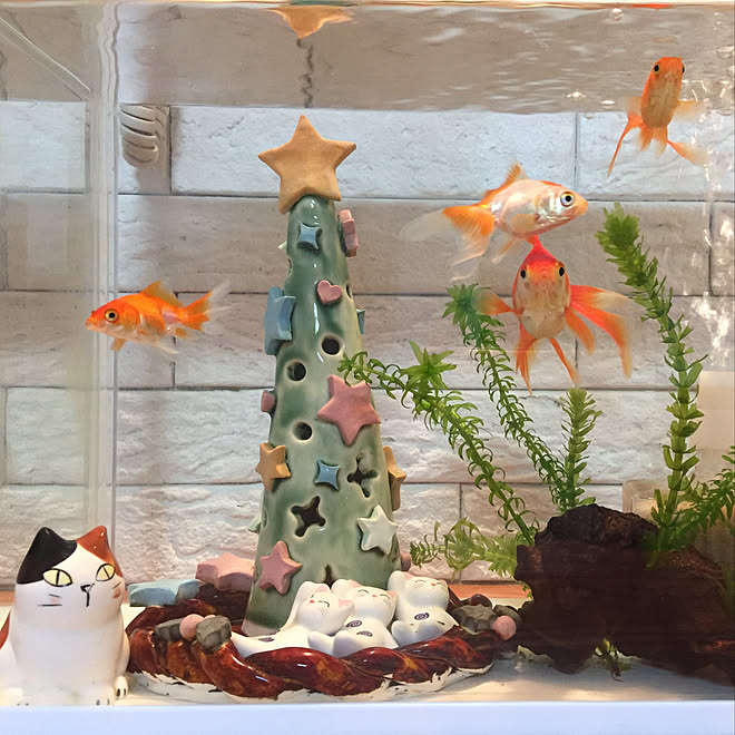 リビング 金魚と暮らす 雑貨 ハンドメイド 陶器市で購入 などのインテリア実例 18 10 31 00 54 51 Roomclip ルームクリップ リビング 金魚と暮らす 雑貨 ハンドメイド 陶器市で購入 などのインテリア実例 18 10 31 00 54 51 Roomclip ルームクリップ