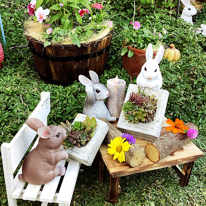 イワダレソウ ダイソーさんのテーブル花台 木製ミニベンチ ニトリさんのledキャンドル かぼちゃの置物 などのインテリア実例 21 10 12 07 18 Roomclip ルームクリップ