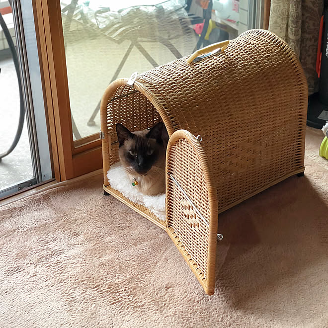 猫ちゃんの秘密基地 アカシア材 No,1 猫ハウス 猫ちゃんの秘密基地