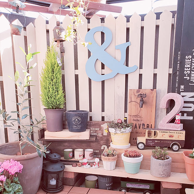 部屋全体 賃貸マンション 狭いベランダgarden 多肉植物初心者 ベランダガーデン初心者 などのインテリア実例 11 16 13 52 51 Roomclip ルームクリップ