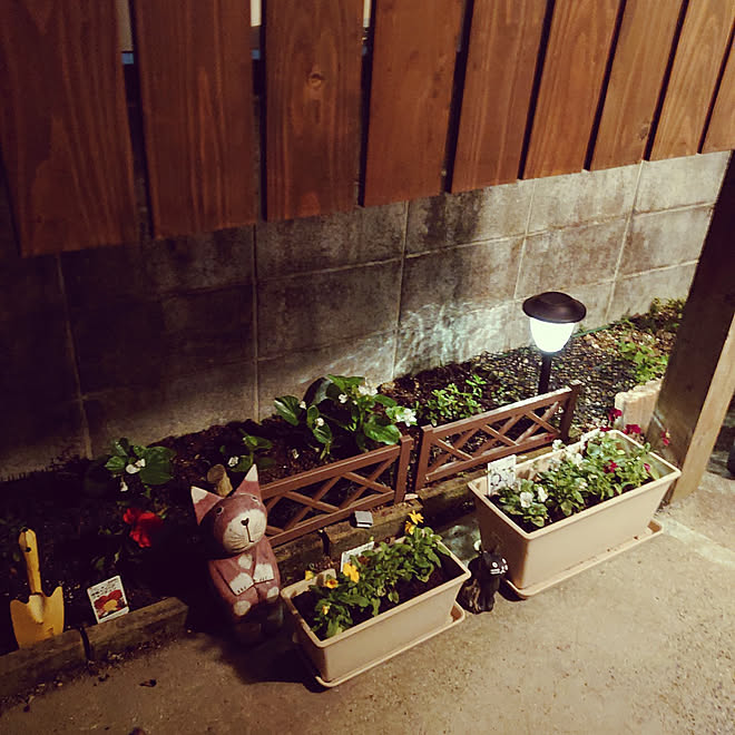 玄関 入り口 古い家を楽しむ 古い家に住む 球根ベゴニアフォーチュン 花壇とプランター などのインテリア実例 21 10 06 19 05 15 Roomclip ルームクリップ