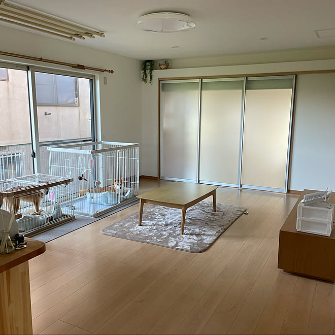 アルミ建具 仕切りドア 同居でもあきらめない ๑ ᴗ リフォーム 田舎暮らし などのインテリア実例 21 10 02 08 39 45 Roomclip ルームクリップ アルミ建具 仕切りドア 同居でもあきらめない ๑ ᴗ リフォーム 田舎暮らし などのインテリア実例 21 10 02 08 39 45 Roomclip ルームクリップ