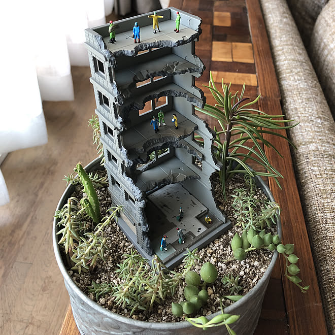 リビング アルミ缶 サボテン 多肉植物 ジオラマ風 などのインテリア実例 2018 07 31 07 35 04 Roomclip ルームクリップ