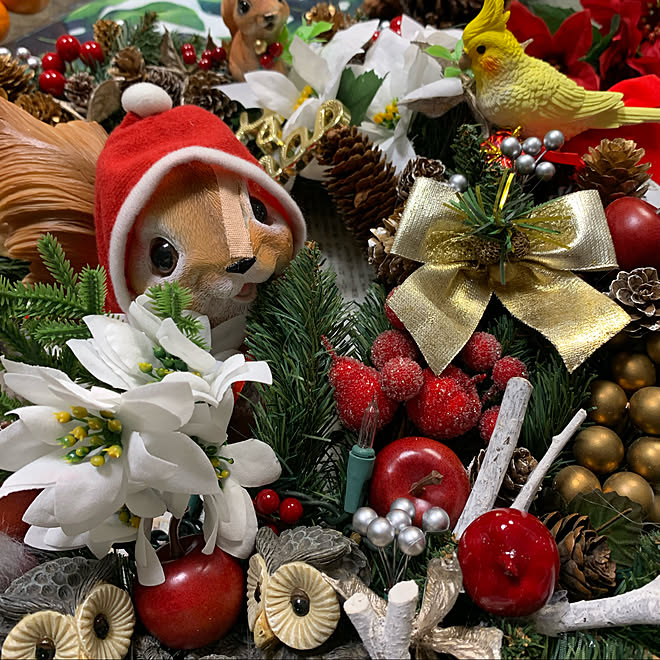 セリアの小鳥 ダイソーリス クリスマスリース手作り クリスマスリース ボタニカルライフ などのインテリア実例 21 11 05 21 27 18 Roomclip ルームクリップ セリアの小鳥 ダイソーリス クリスマスリース手作り クリスマスリース ボタニカルライフ などのインテリア実例 21 11 05 21 27 18 Roomclip ルームクリップ