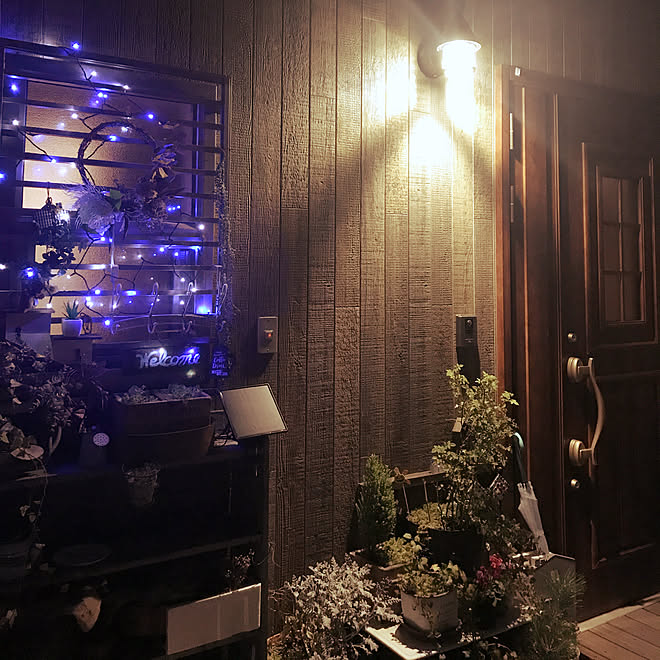 カインズホーム ソーラーイルミネーション 玄関 入り口 クリスマス Ledソーラーライト などのインテリア実例 18 11 13 17 11 19 Roomclip ルームクリップ