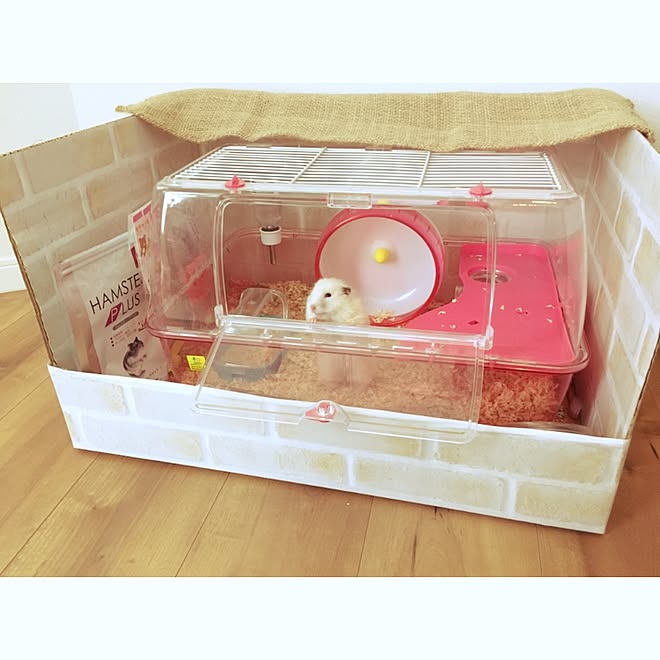 部屋全体/ゴールデンハムスター/ももちゃん♡/リメイクシート/ハムスターのお家&hellip;などのインテリア実例 20170617 0955