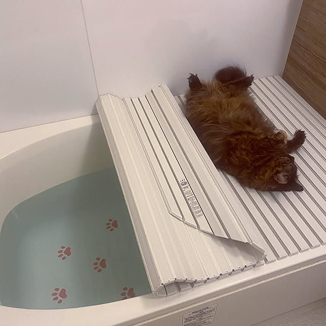 猫 滑り 止め mamiintyu