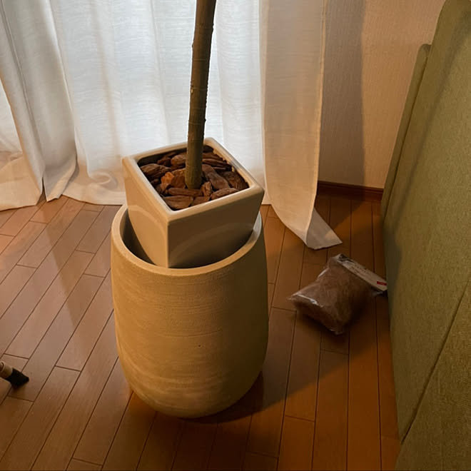 リビング カインズホーム フェイクグリーン 観葉植物のインテリア実例 21 05 05 09 40 04 Roomclip ルームクリップ