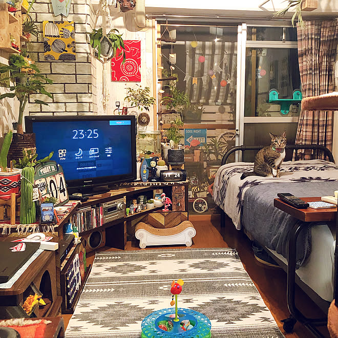 ねこのいる日常/西海岸風/ねことの暮らし/一人暮らし/カフェ風&hellip;などのインテリア実例 20210104 152101