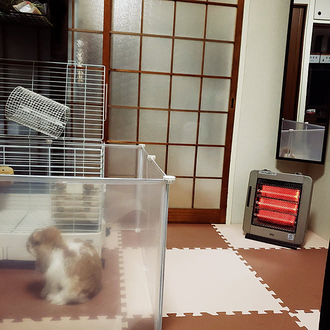 賃貸でも楽しく 賃貸マンション 団地でも諦めない うさぎと暮らす 電気ストーブのインテリア実例 19 12 04 17 17 42 Roomclip ルームクリップ 賃貸でも楽しく 賃貸マンション 団地でも諦めない うさぎと暮らす 電気ストーブのインテリア実例 19 12 04 17 17 42 Roomclip ルームクリップ
