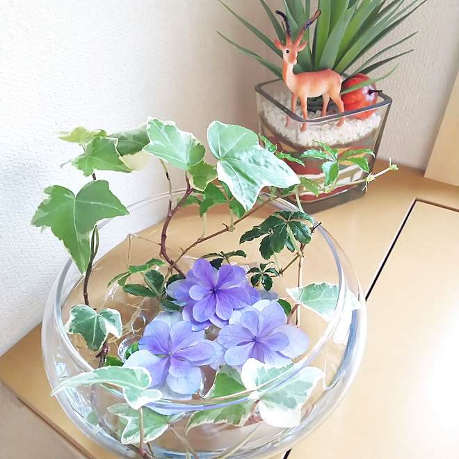 バス トイレ 庭の花 シュガーバイン アジサイ 水盤 などのインテリア実例 06 01 19 26 53 Roomclip ルームクリップ