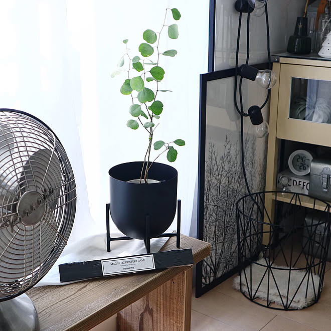 ユーカリポポラス/プランタースタンド/H&M HOME/新商品買ったよ!/マンションインテリア...などのインテリア実例 - 2019-11-16 15:34:59