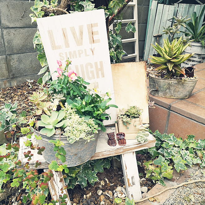 ベッド周り/べっどまわりではありません/ウッドデッキgarden/多肉植物♥︎/NO GREEN NO LIFE...などのインテリア実例 - 2019-11-22 11:07:36