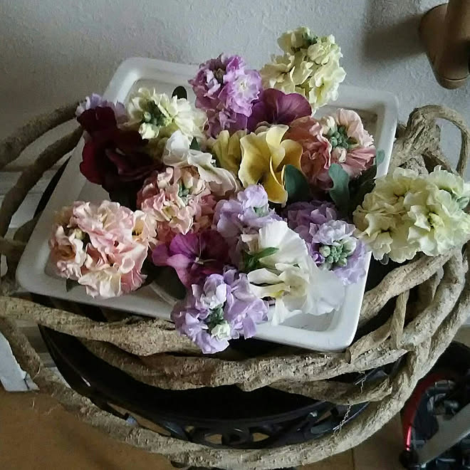 玄関 入り口 ストックの花 八重咲きパンジー 花あそび いいね フォローありがとうございます などのインテリア実例 11 17 18 23 07 Roomclip ルームクリップ