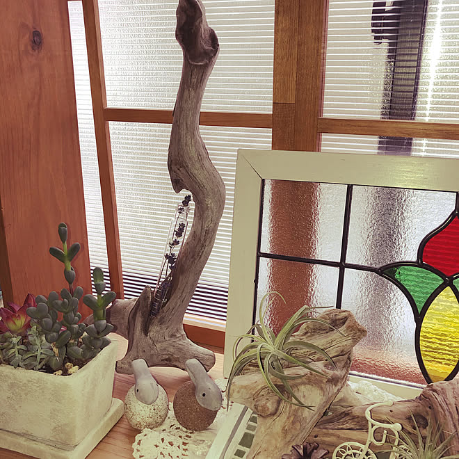 自作ドライフラワー 流木オブジェ 流木 多肉植物のある暮らし エアープランツ などのインテリア実例 03 16 11 23 32 Roomclip ルームクリップ