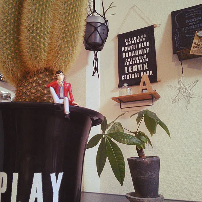 壁 天井 セリア ルパン三世 サボテン プラントハンガー などのインテリア実例 15 12 19 00 53 49 Roomclip ルームクリップ