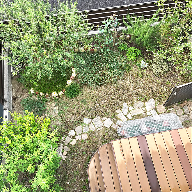 ウッドデッキのある暮らし イシガメの家 6月の庭 雨上がりの庭 グリーンのある暮らし などのインテリア実例 06 11 06 48 42 Roomclip ルームクリップ