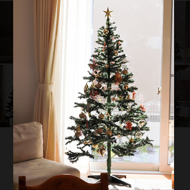 クリスマスツリー 自宅 こどもと暮らす Diy ソファー などのインテリア実例 11 29 12 29 24 Roomclip ルームクリップ