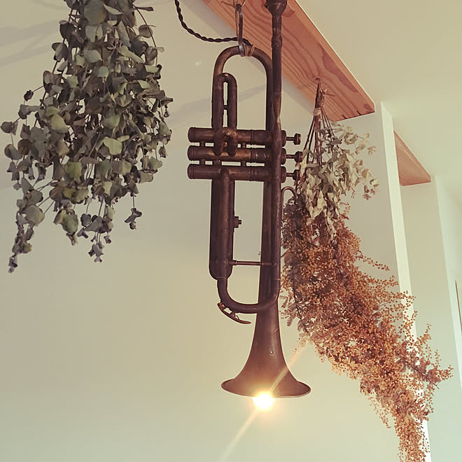 リビング 照明 トランペット ユーカリ ミモザ などのインテリア実例 17 08 14 08 59 22 Roomclip ルームクリップ