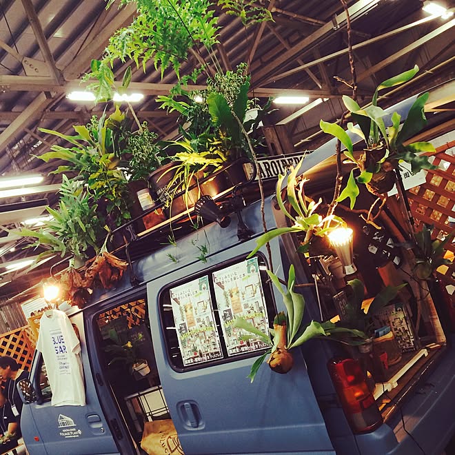 ベッド周り 移動販売車 Tシャツ リプサリス コウモリラン などのインテリア実例 15 07 19 17 33 24 Roomclip ルームクリップ