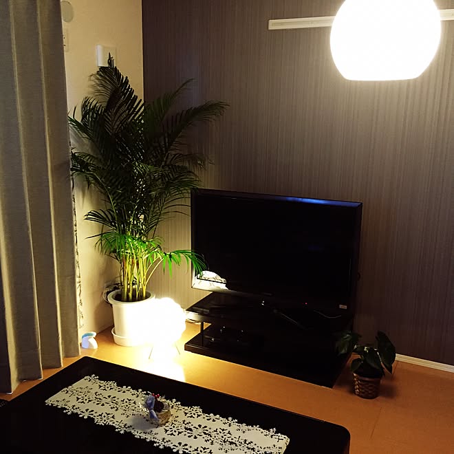 リビング アレカヤシ シンプルモダン 観葉植物 かっこいい などのインテリア実例 14 11 14 13 18 06 Roomclip ルームクリップ