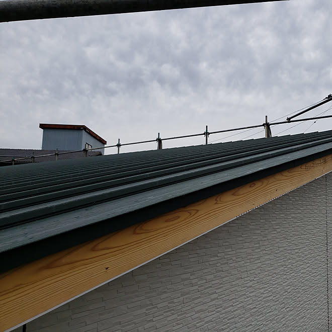 部屋全体/新築/ガルバリウム屋根/光セラ/モスグリーン...などのインテリア実例 - 2019-11-25 19:33:39